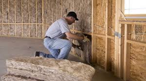 Best Insulation Replacement  in Martindale, TX